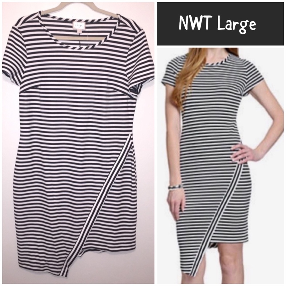 NWT Black & White Striped Asymmetrical Hem Dress